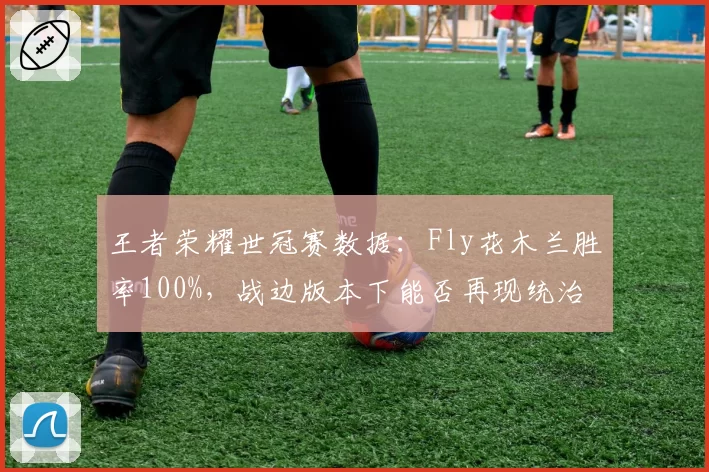 王者荣耀世冠赛数据：Fly花木兰胜率100%，战边版本下能否再现统治力？
